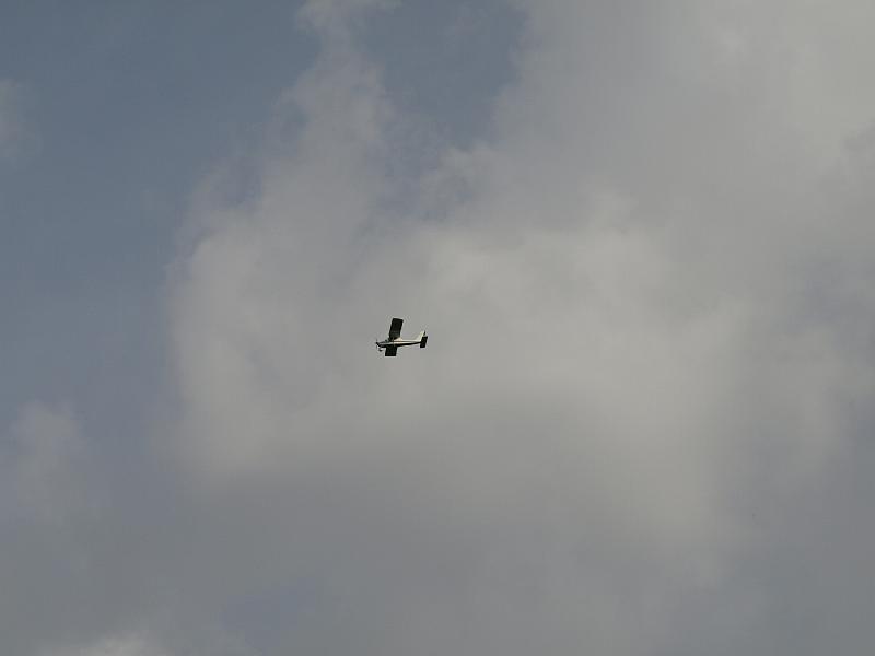 Copy of P9114385.JPG